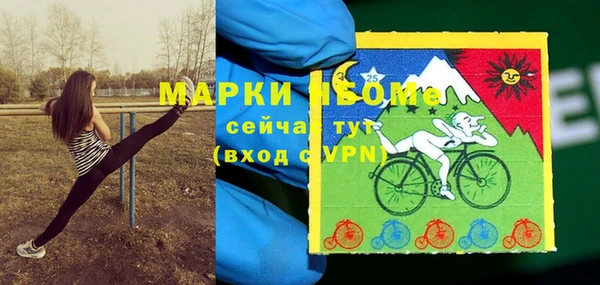 твердый Алексин