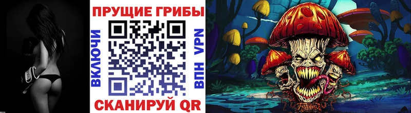 Псилоцибиновые грибы мицелий как найти закладки Ардон